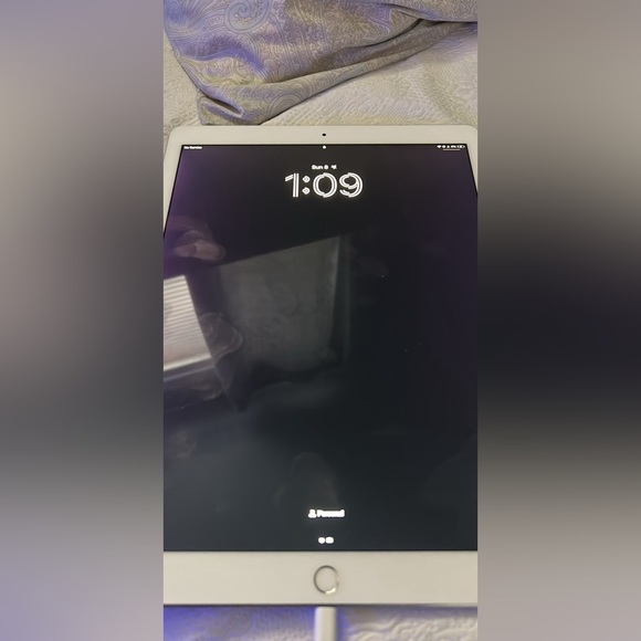 iPad Pro